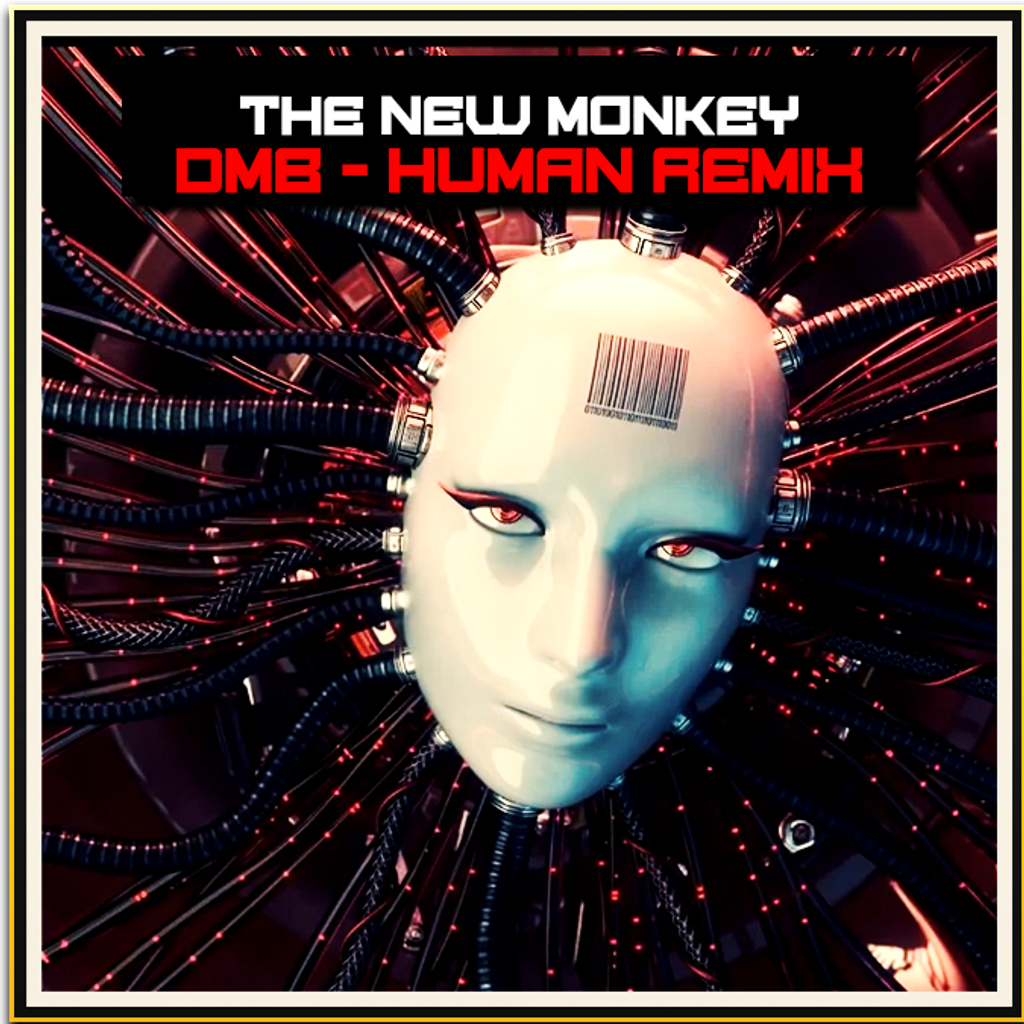 DMB - Human Remix