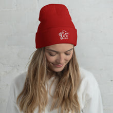 Load image into Gallery viewer, TNM Beanies
